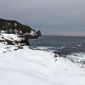 Meet your Posher, Liam